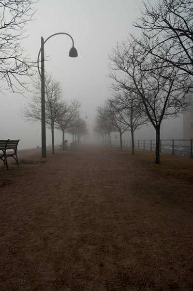 Path Fog