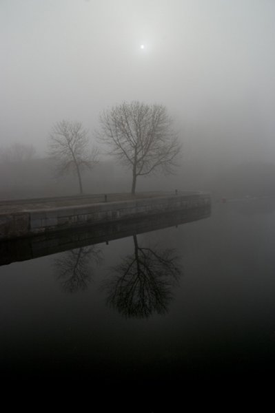 001_tree_water_fog